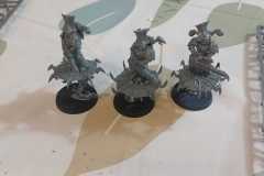 WhatsApp-Image-2026-02-27-at-23.04.55