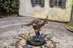 WhatsApp-Image-2026-03-01-at-17.56.32-2