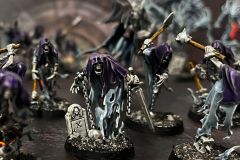 WhatsApp-Image-2026-01-16-at-17.19.11-2