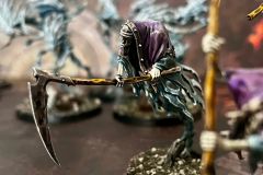 WhatsApp-Image-2026-01-16-at-17.19.12