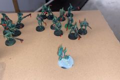 WhatsApp-Image-2026-01-18-at-20.42.07