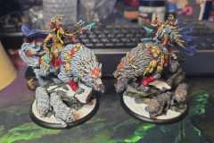 WhatsApp-Image-2026-01-29-at-14.33.41