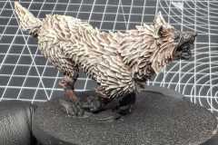 IMG-20250611-WA0002